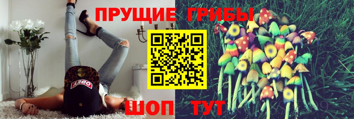 Галлюциногенные грибы MAGIC MUSHROOMS  Вход с VPN  где купить наркоту  Шелехов 